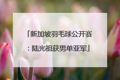 新加坡羽毛球公开赛：陆光祖获男单亚军