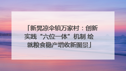新晃凉伞镇万家村：创新实践“六位一体”机制 绘就粮食稳产增收新图景