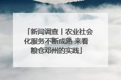 新闻调查丨农业社会化服务不断成熟 来看粮仓邓州的实践