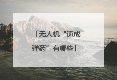 无人机“速成弹药”有哪些