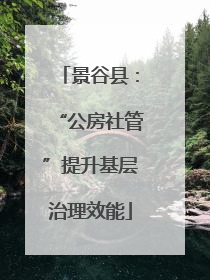 景谷县：“公房社管”提升基层治理效能