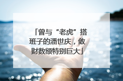 曾与“老虎”搭班子的潘世庆，敛财数额特别巨大
