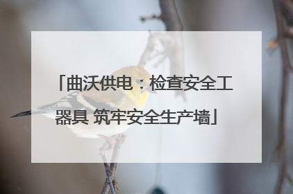 曲沃供电：检查安全工器具 筑牢安全生产墙