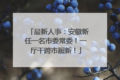 最新人事：安徽新任一名市委常委！一厅干跨市履新！