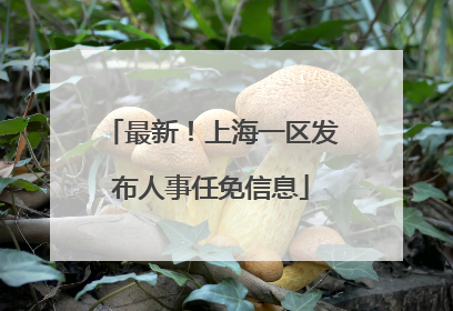 最新！上海一区发布人事任免信息