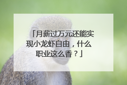 月薪过万元还能实现小龙虾自由，什么职业这么香？
