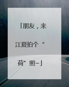 朋友，来江夏拍个“荷”照~
