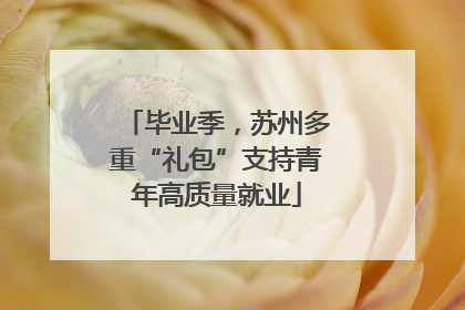 毕业季，苏州多重“礼包”支持青年高质量就业