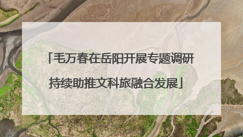 毛万春在岳阳开展专题调研 持续助推文科旅融合发展