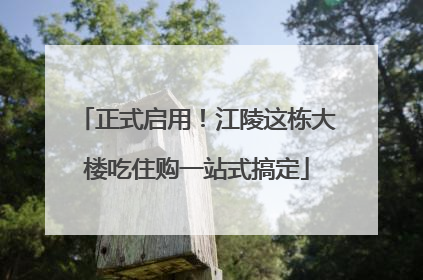正式启用！江陵这栋大楼吃住购一站式搞定