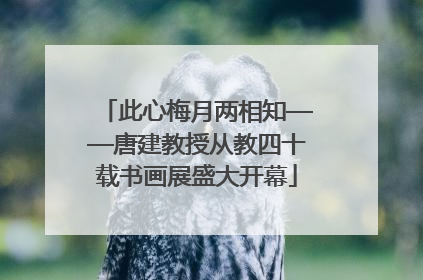 此心梅月两相知——唐建教授从教四十载书画展盛大开幕