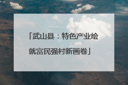 武山县：特色产业绘就富民强村新画卷