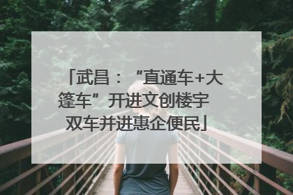 武昌：“直通车+大篷车”开进文创楼宇 双车并进惠企便民
