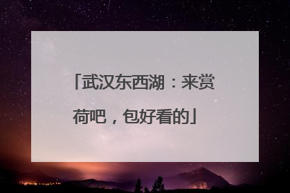 武汉东西湖：来赏荷吧，包好看的
