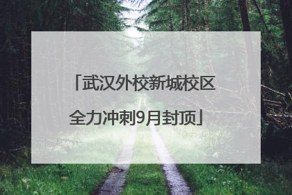 武汉外校新城校区全力冲刺9月封顶