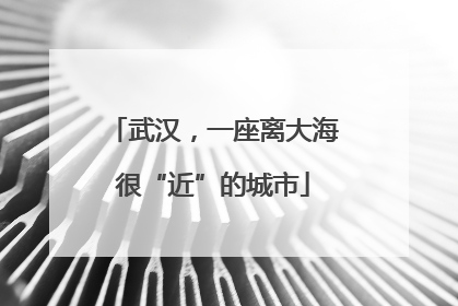 武汉，一座离大海很“近”的城市