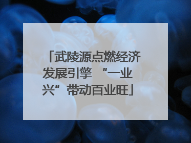 武陵源点燃经济发展引擎 “一业兴”带动百业旺