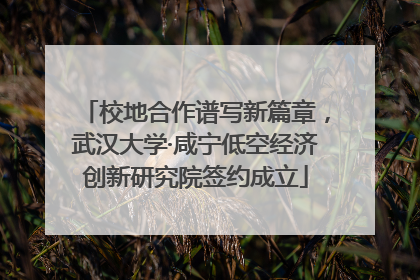 校地合作谱写新篇章，武汉大学·咸宁低空经济创新研究院签约成立