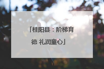 桂阳县：阶梯育德 礼润童心