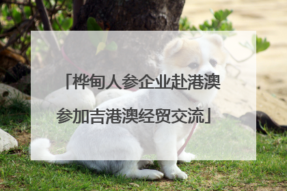 桦甸人参企业赴港澳参加吉港澳经贸交流