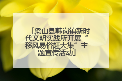 梁山县韩岗镇新时代文明实践所开展“移风易俗赶大集”主题宣传活动