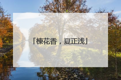 楝花香，夏正浅