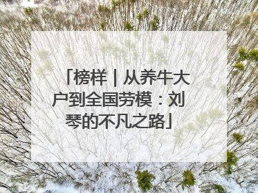 榜样｜从养牛大户到全国劳模：刘琴的不凡之路