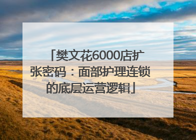 樊文花6000店扩张密码：面部护理连锁的底层运营逻辑
