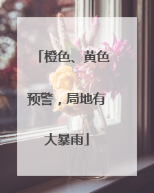 橙色、黄色预警，局地有大暴雨
