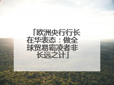 欧洲央行行长在华表态：做全球贸易霸凌者非长远之计