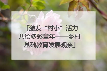 激发“村小”活力 共绘多彩童年——乡村基础教育发展观察