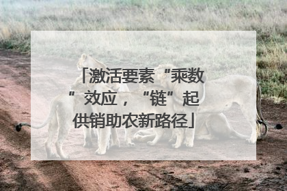 激活要素“乘数”效应，“链”起供销助农新路径