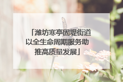 潍坊寒亭固堤街道以全生命周期服务助推高质量发展