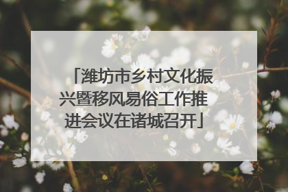 潍坊市乡村文化振兴暨移风易俗工作推进会议在诸城召开