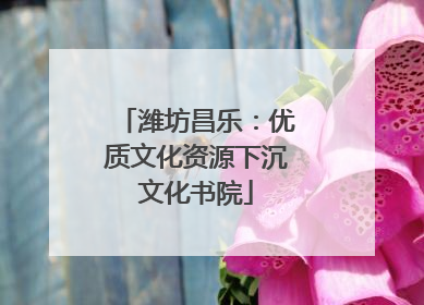 潍坊昌乐：优质文化资源下沉文化书院