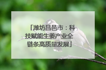潍坊昌邑市：科技赋能生姜产业全链条高质量发展