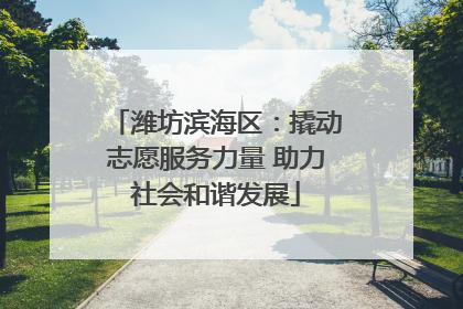 潍坊滨海区：撬动志愿服务力量 助力社会和谐发展