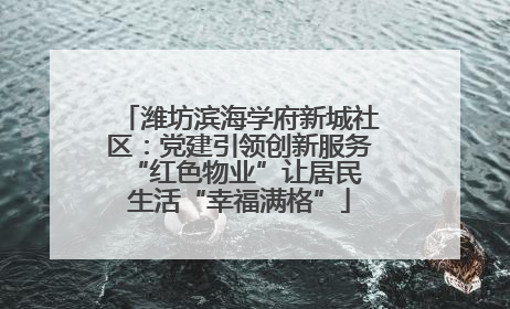 潍坊滨海学府新城社区：党建引领创新服务 “红色物业”让居民生活“幸福满格”