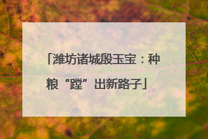 潍坊诸城殷玉宝：种粮“蹚”出新路子