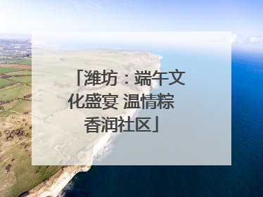 潍坊：端午文化盛宴 温情粽香润社区