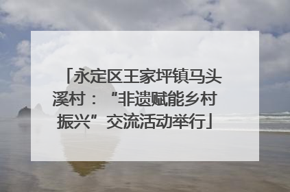 永定区王家坪镇马头溪村：“非遗赋能乡村振兴”交流活动举行