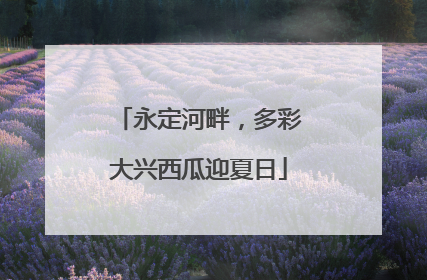 永定河畔，多彩大兴西瓜迎夏日