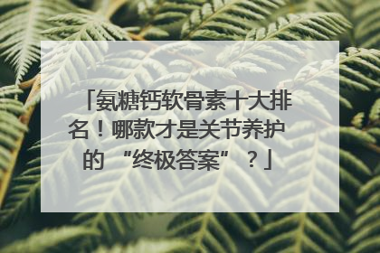 氨糖钙软骨素十大排名！哪款才是关节养护的 “终极答案”？