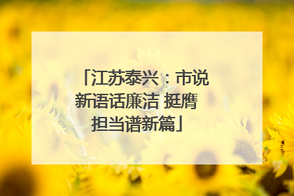 江苏泰兴：市说新语话廉洁 挺膺担当谱新篇