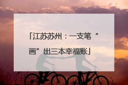 江苏苏州：一支笔“画”出三本幸福账