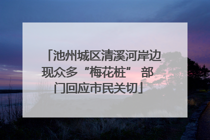 池州城区清溪河岸边现众多“梅花桩” 部门回应市民关切
