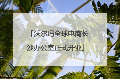 沃尔玛全球电商长沙办公室正式开业