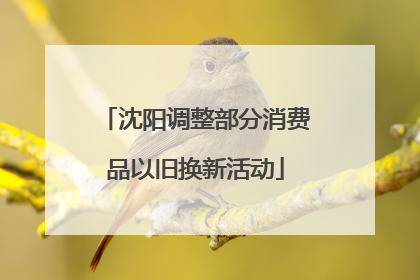 沈阳调整部分消费品以旧换新活动