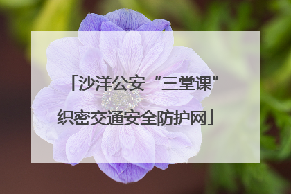 沙洋公安“三堂课”织密交通安全防护网