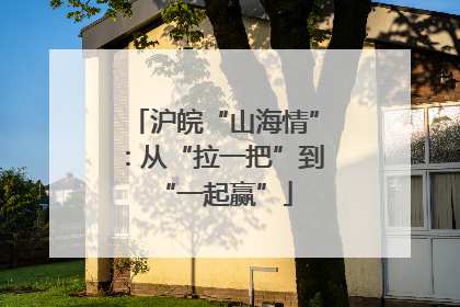沪皖“山海情”：从“拉一把”到“一起赢”